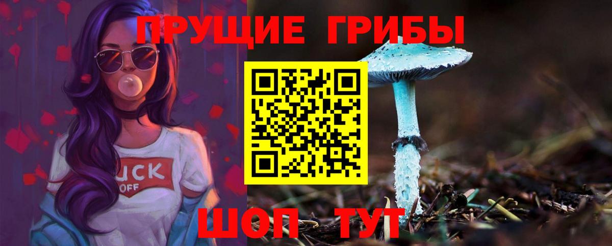 Псилоцибиновые грибы прущие грибы  Галлюциногенные грибы прущие грибы  Чита  закладка  Вход с VPN 